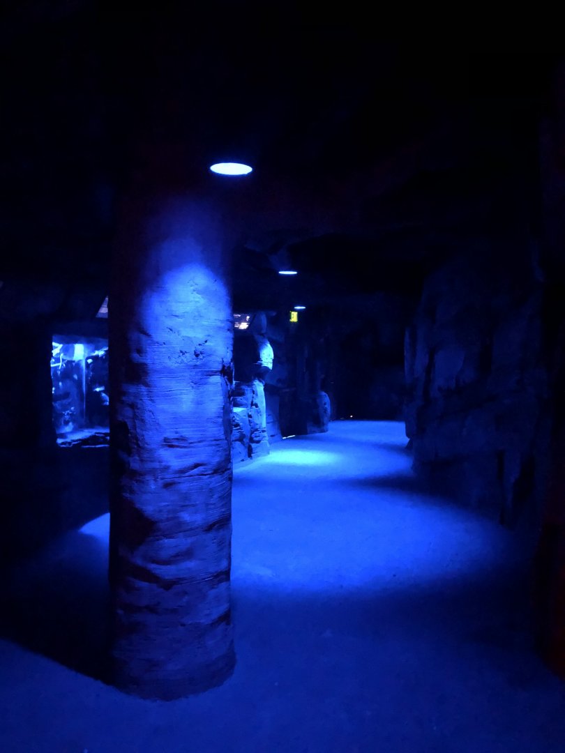 9/14/2020 - Terrarium Hall