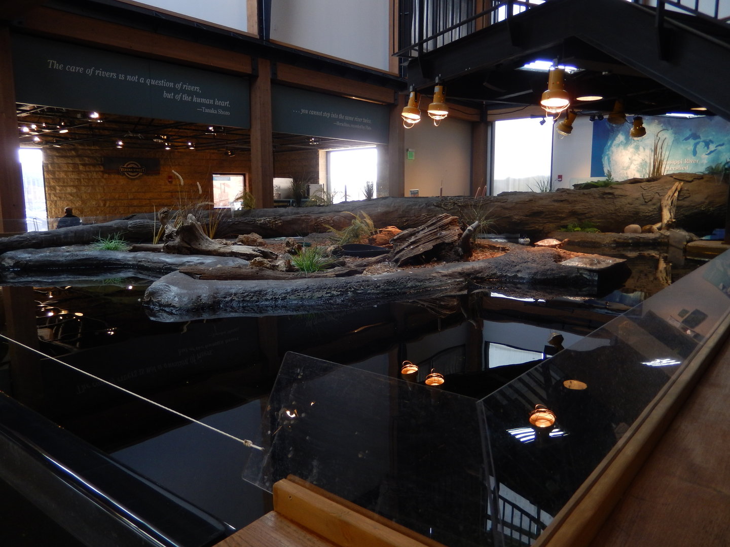 9/15/2022 - Backwater Marsh