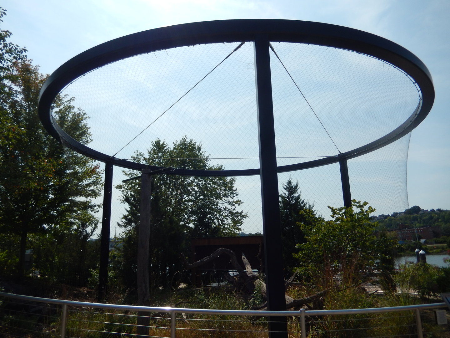 9/15/2022 - Bald Eagle Habitat