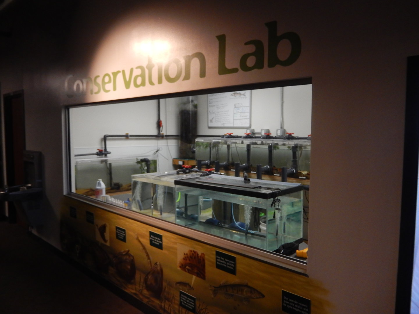 9/15/2022 - Conservation Lab