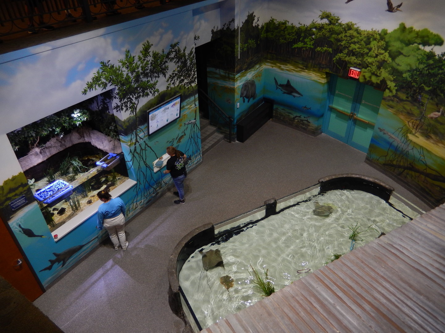 9/15/2022 - Down in the Delta - Above View