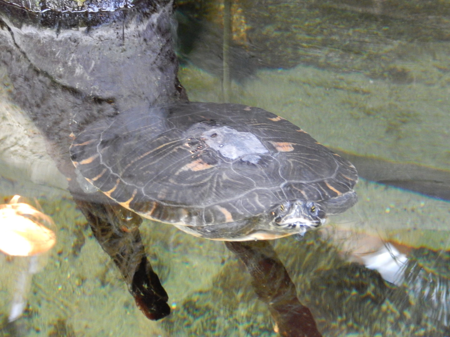 9/15/2022 - Just Another Day in Paradise...