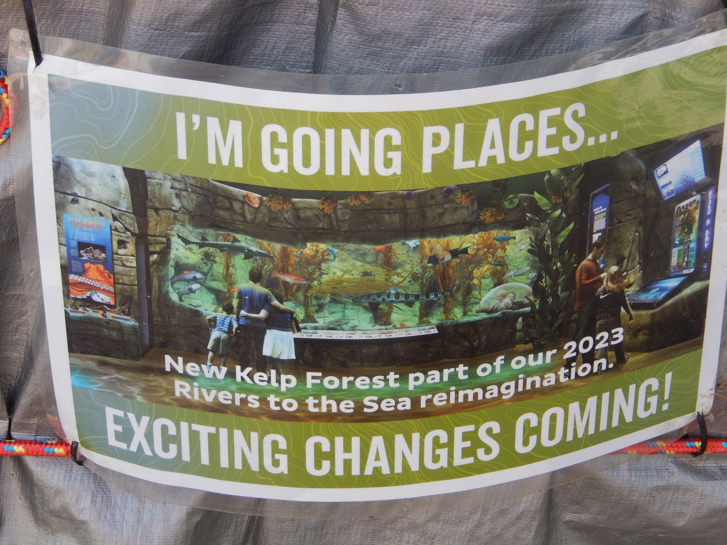 9/15/2022 - Rivers to the Sea Concept Art