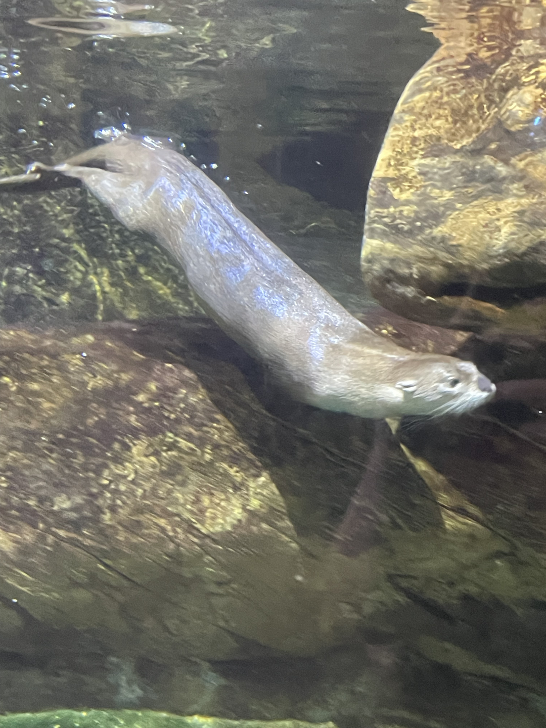 9/15/2022 - Underwater Antics