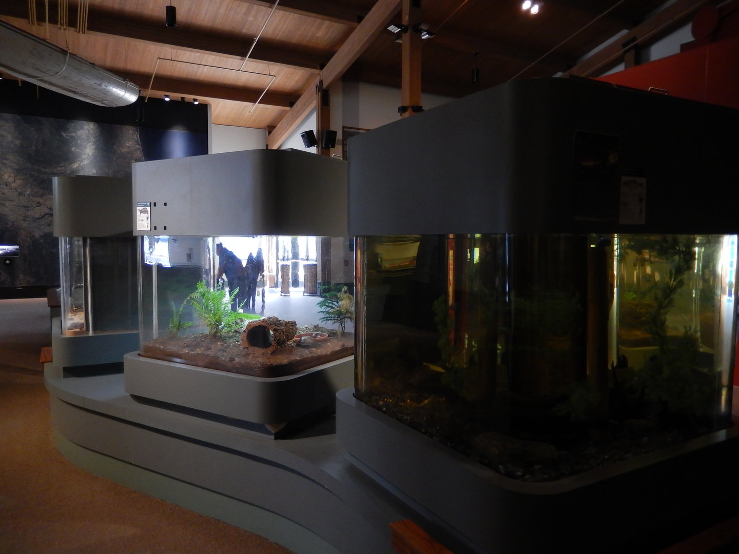 9/15/2022 - West Building Terrariums