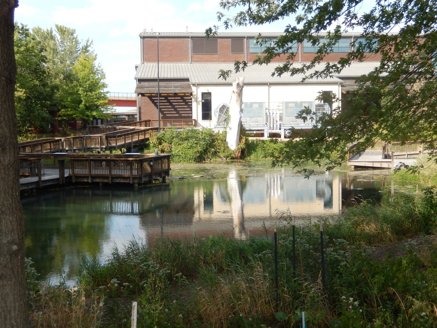 9/15/2022 - Wetlands