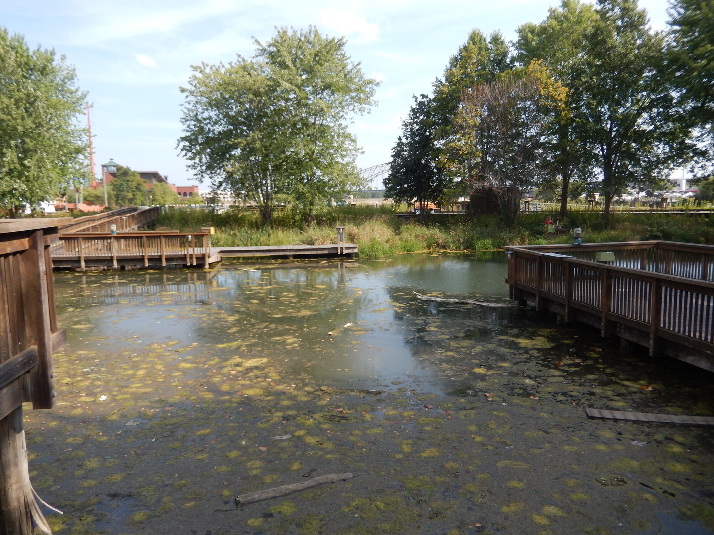 9/15/2022 - Wetlands