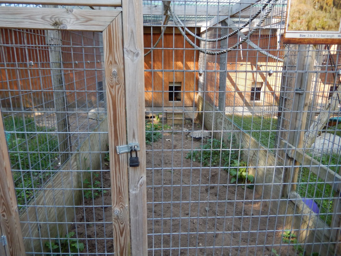 9/15/2025 - Aardwolf Cage