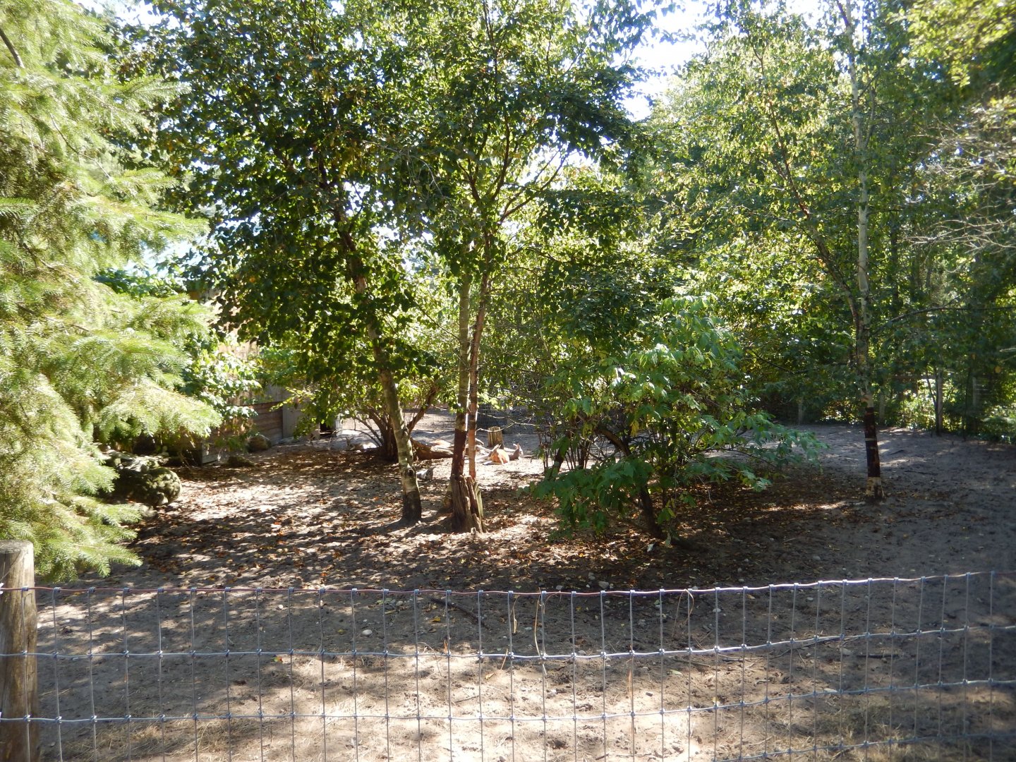 9/15/2025 - Red Kangaroo Habitat