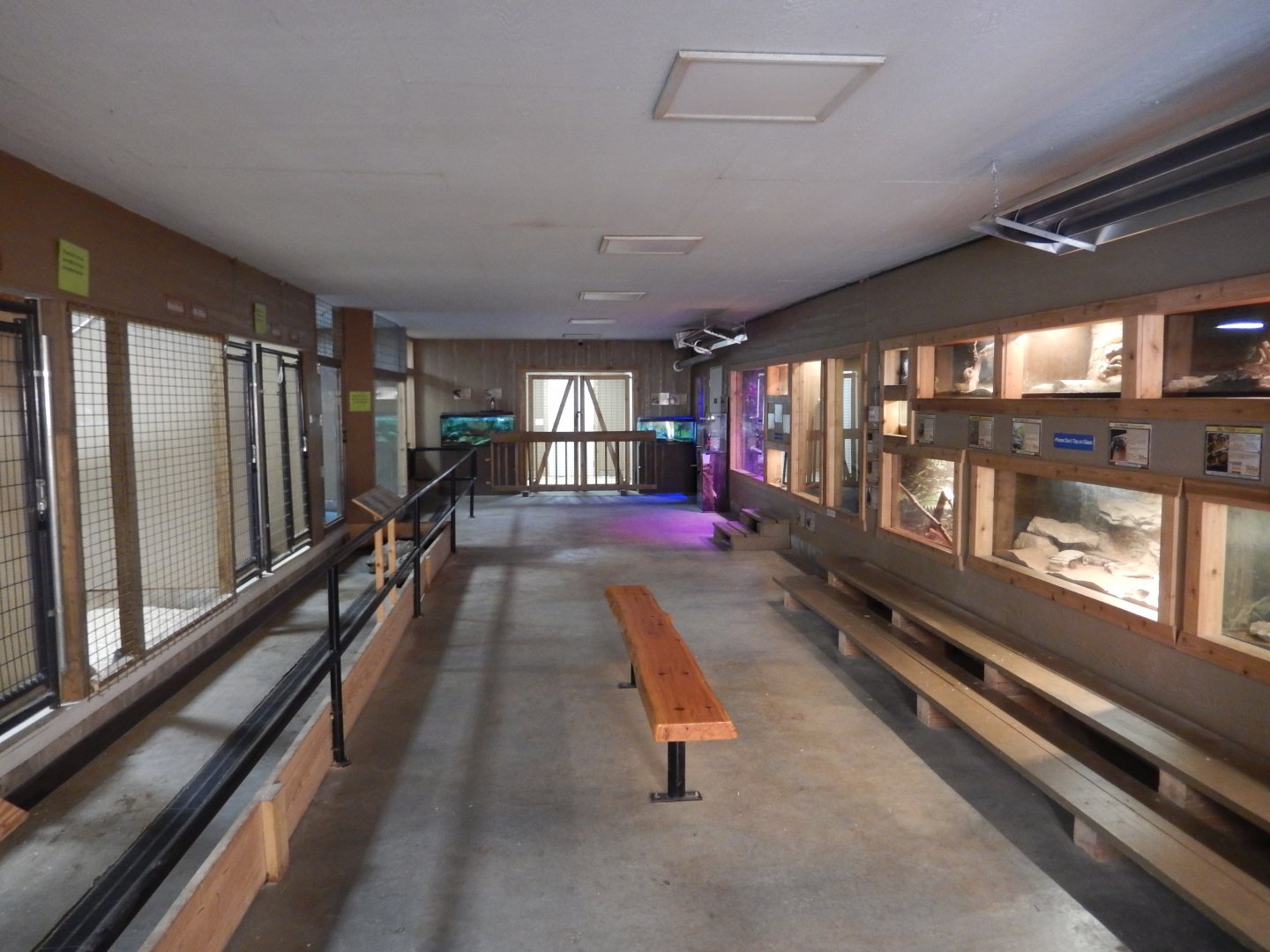 9/15/2025 - Tropical Building - General View