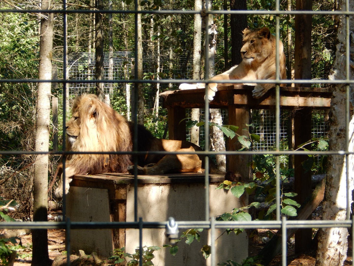 9/15/2025 - Vern and Lola