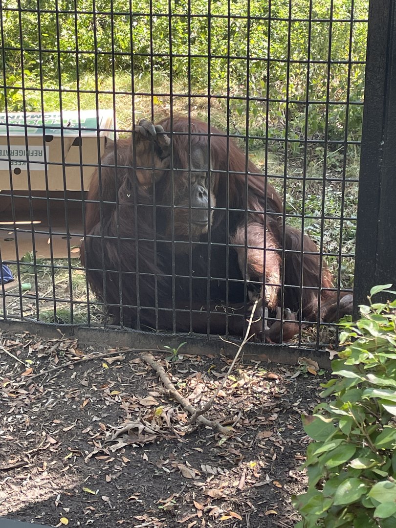 9/17/2023 - Alex Cleaning House