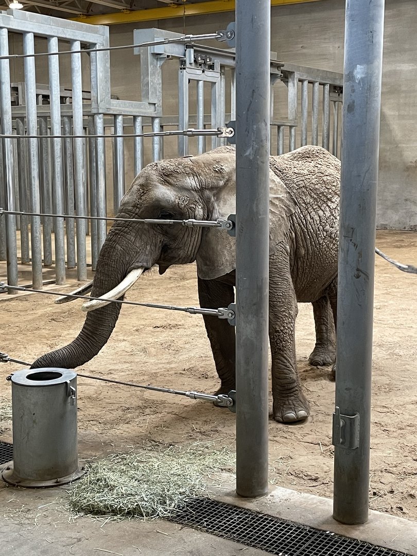 9/17/2023 - Brittany