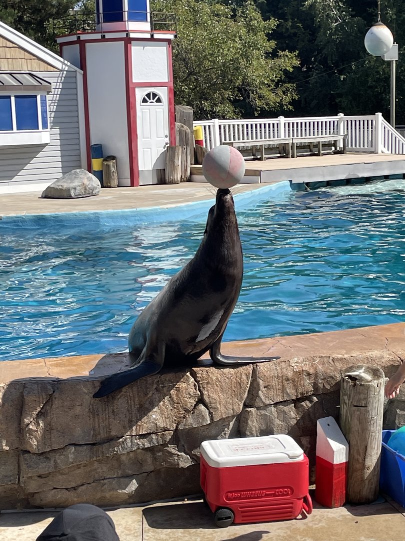 9/17/2023 - Diego‘s Balancing Act