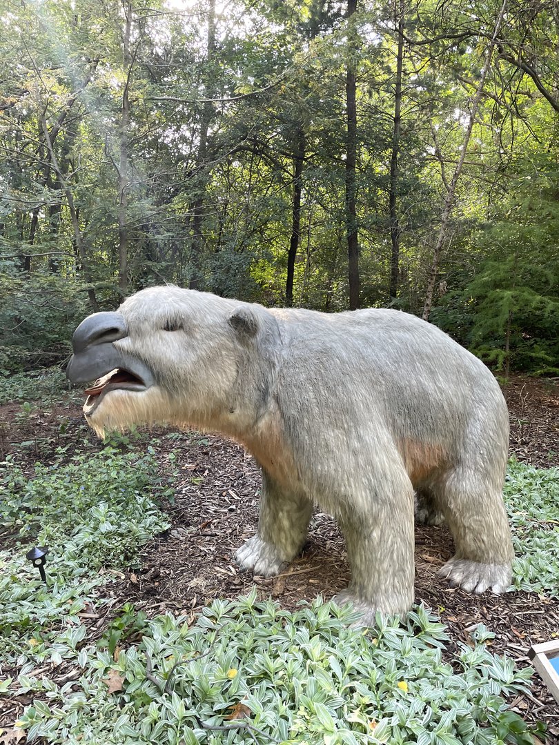 9/17/2023 - Diprotodon