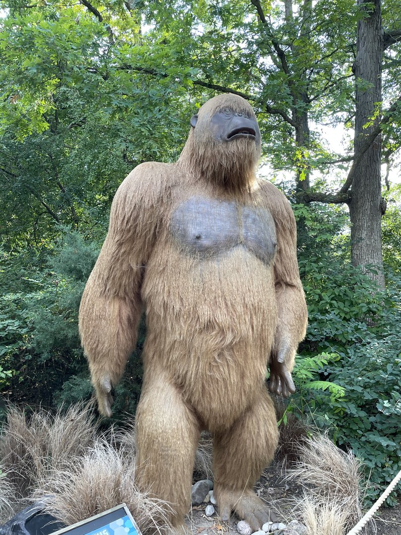 9/17/2023 - Gigantopithicus