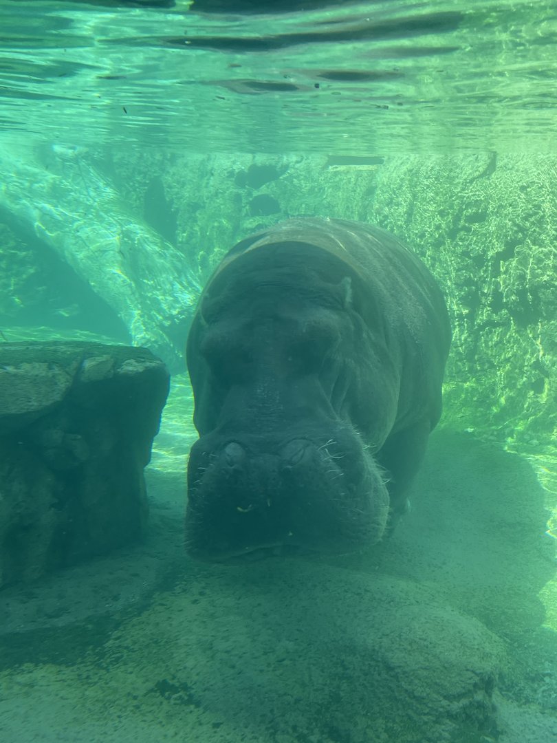 9/17/2023 - Happy Days