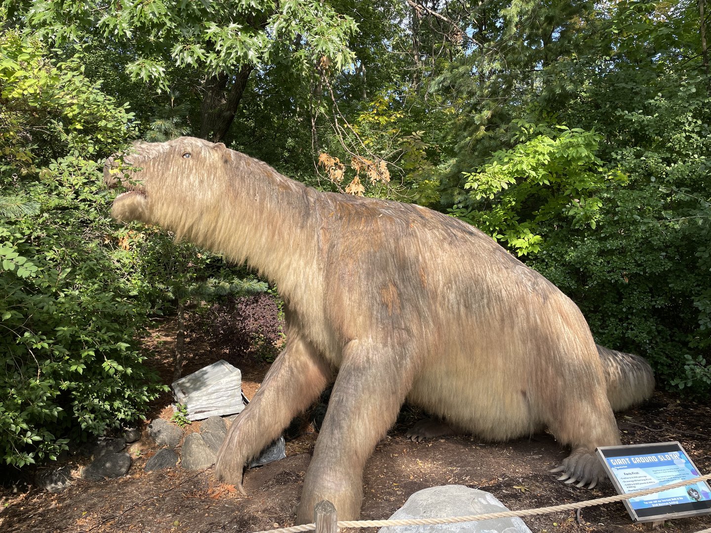 9/17/2023 - Megatherium