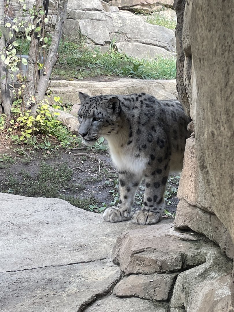 9/17/2023 - Prowling