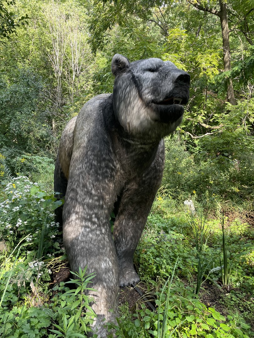 9/17/2023 - Short-Faced Bear
