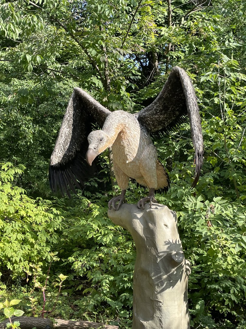 9/17/2023 - Teratornis