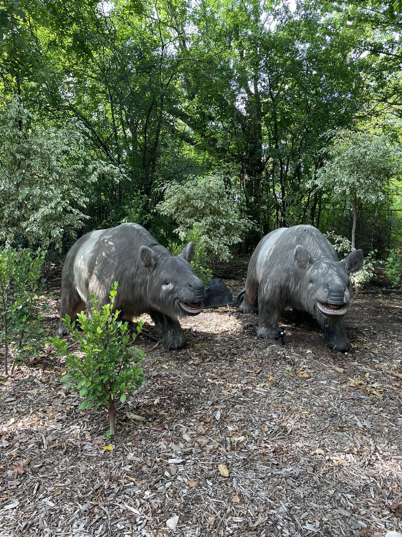 9/17/2023 - Toxodons