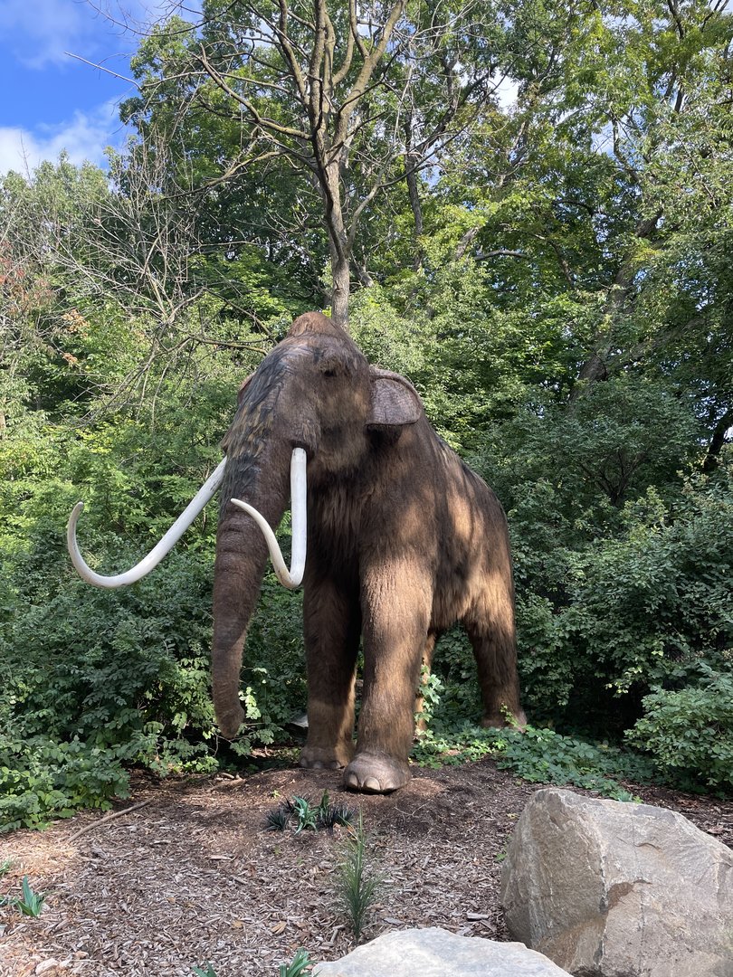 9/17/2023 - Woolly Mammoth