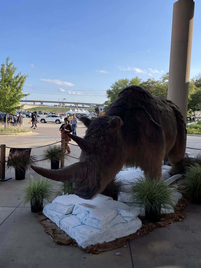 9/17/2023 - Woolly Rhinoceros