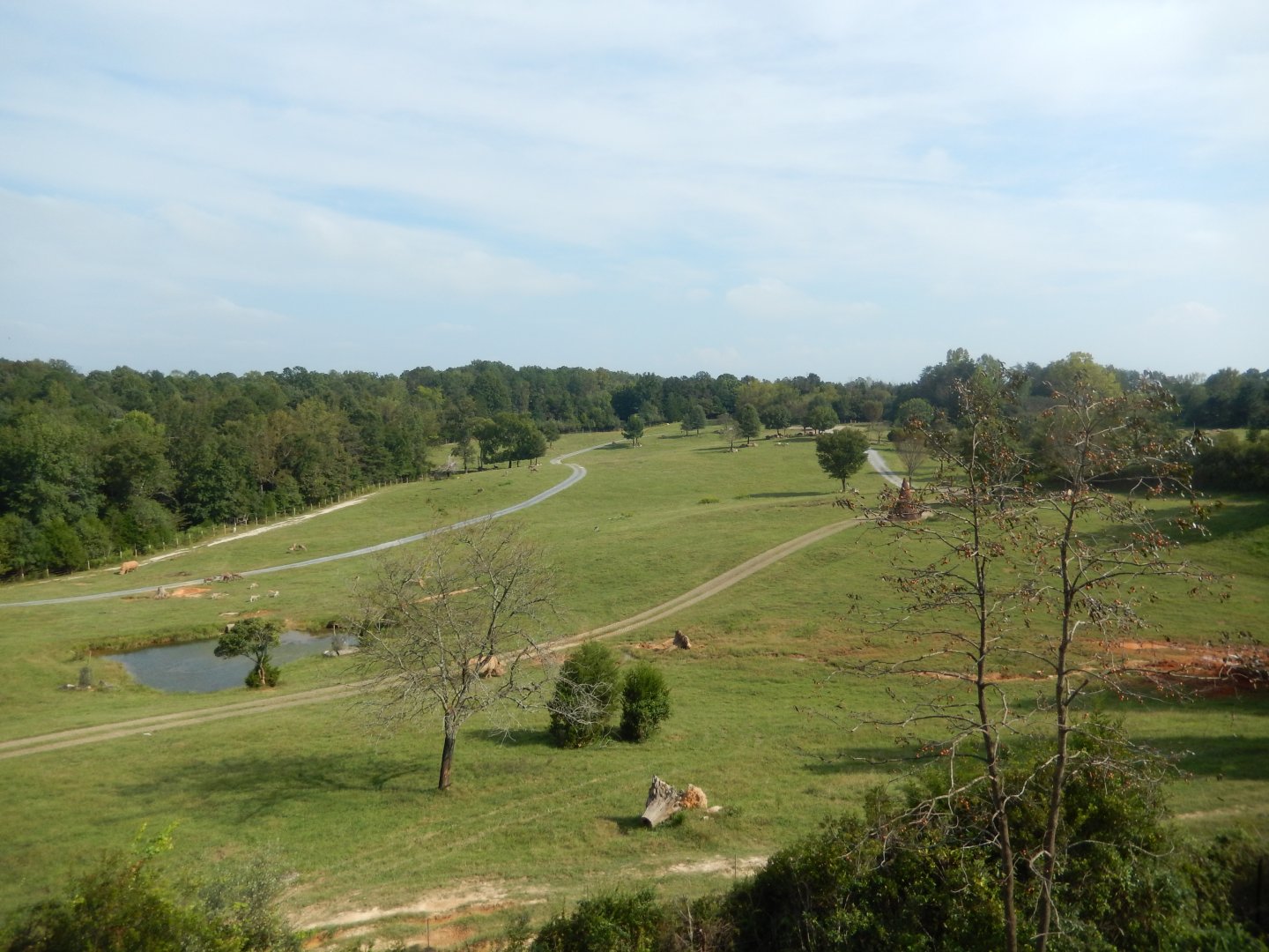 9/23/2018 - 40-Acre(!) Savanna