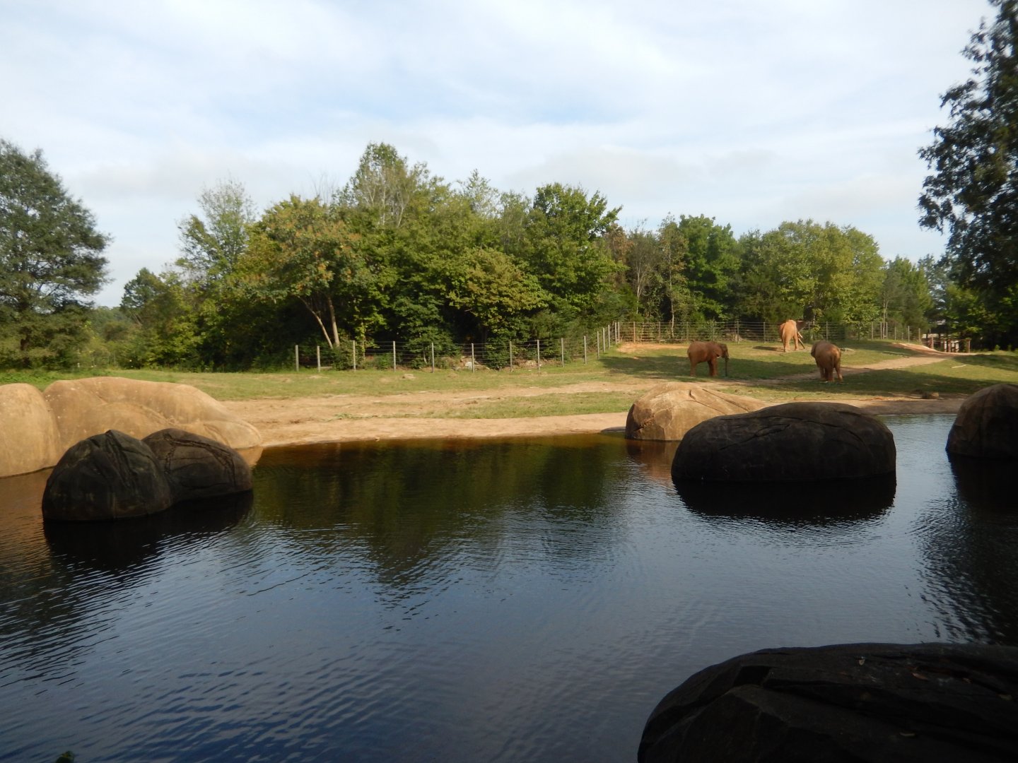 9/23/2018 - African Elephant Habitat