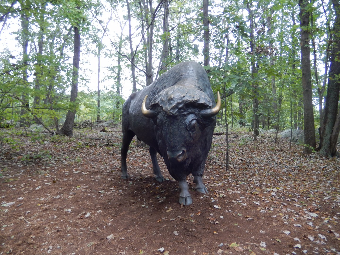 9/23/2018 - Bison Statue