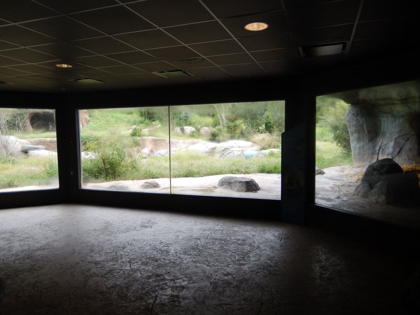 9/23/2018 - Cave Viewing Gallery