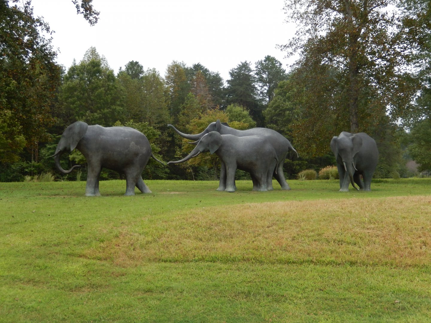 9/23/2018 - Elephant Statues