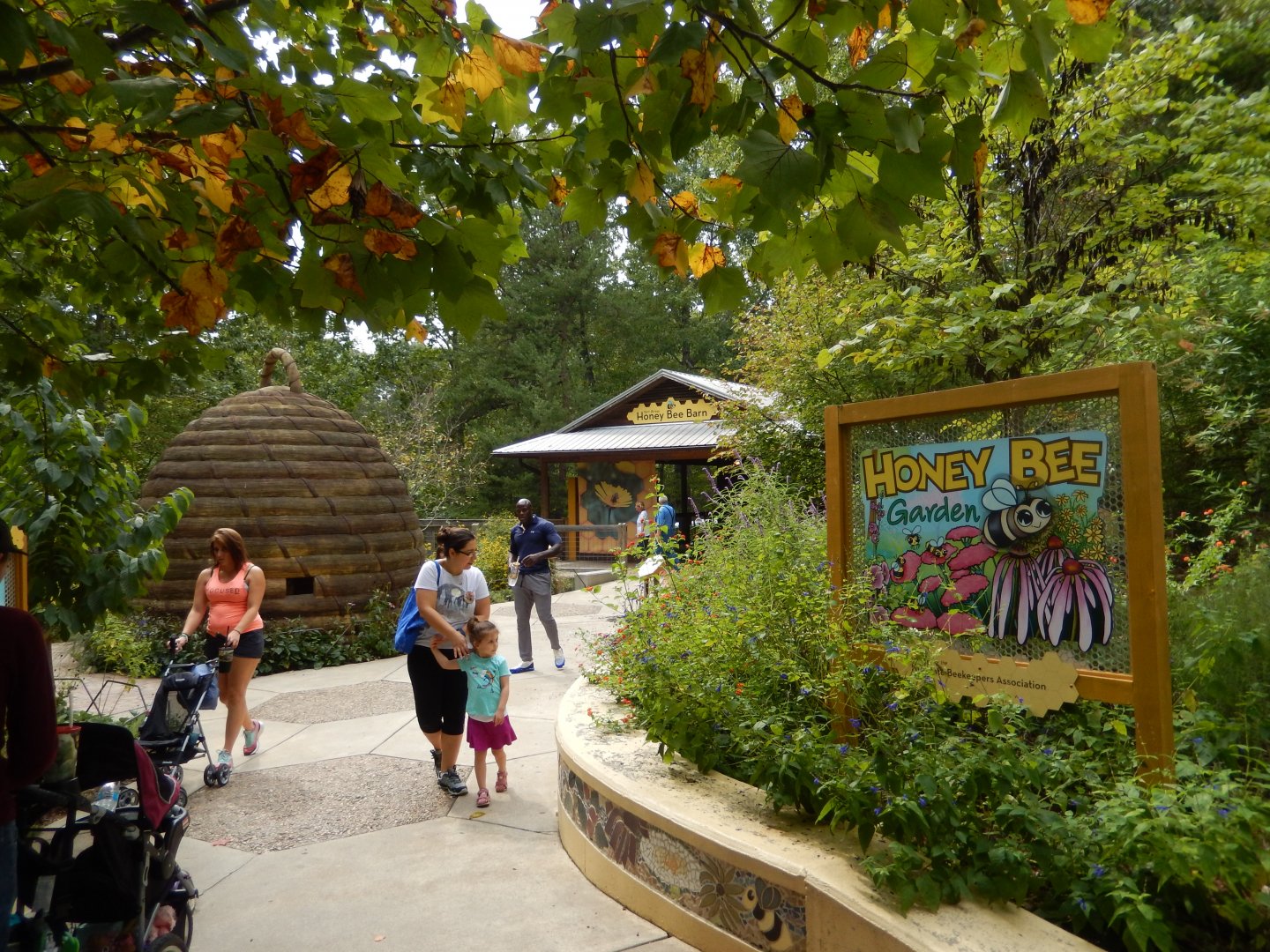 9/23/2018 - Honey Bee Garden