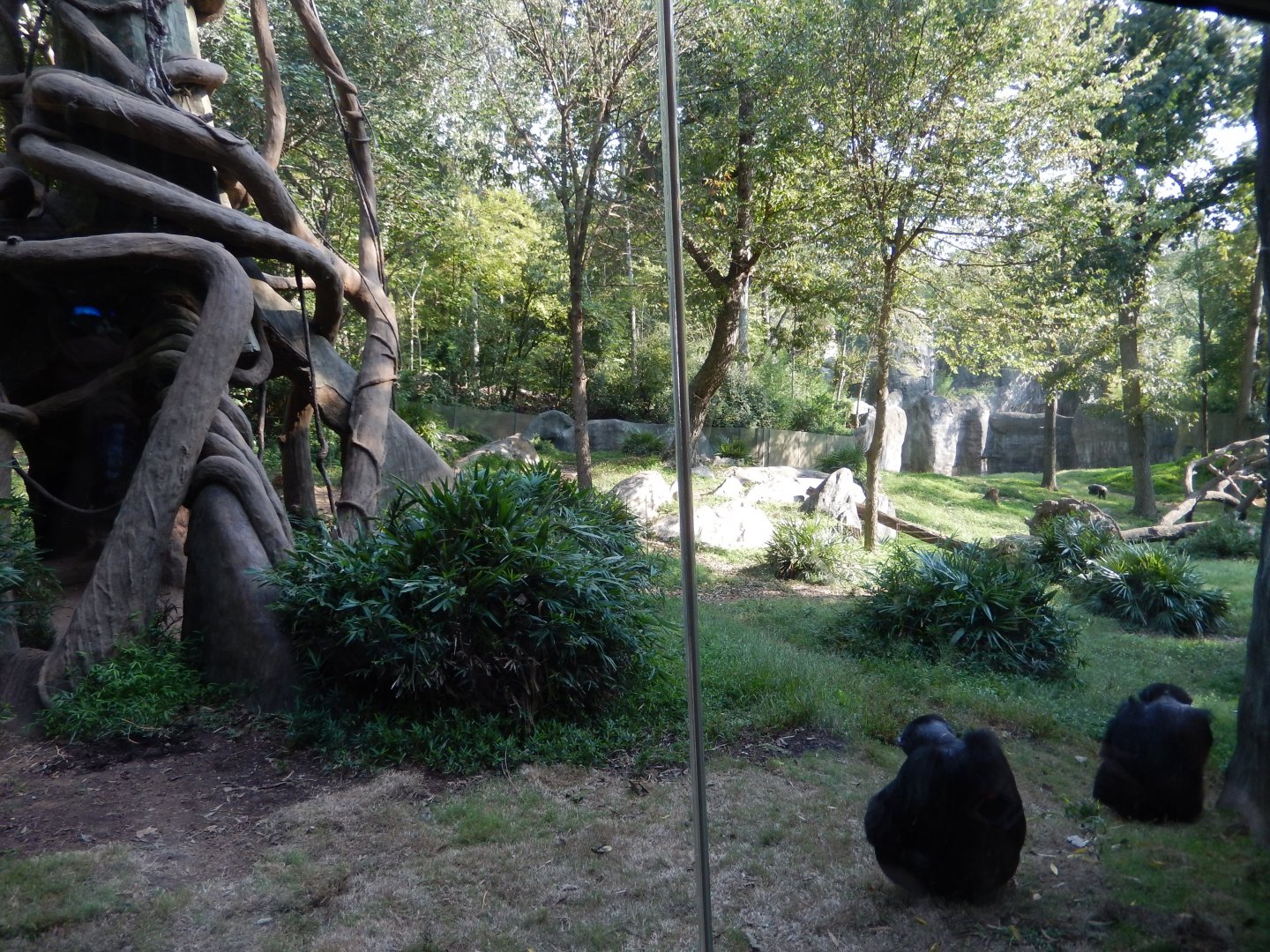 9/23/2018 - Kitera Forest