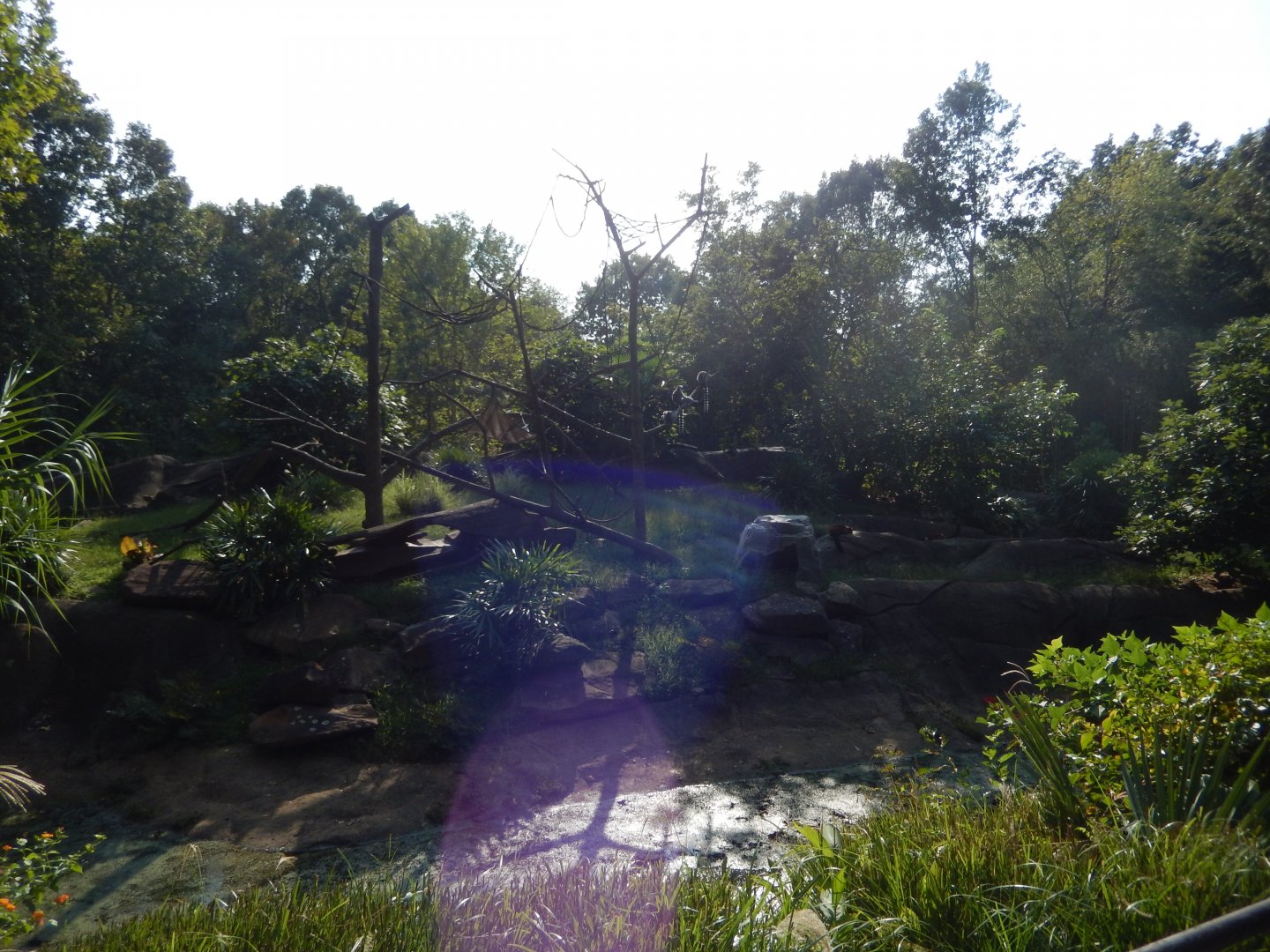 9/23/2018 - Lemur Island