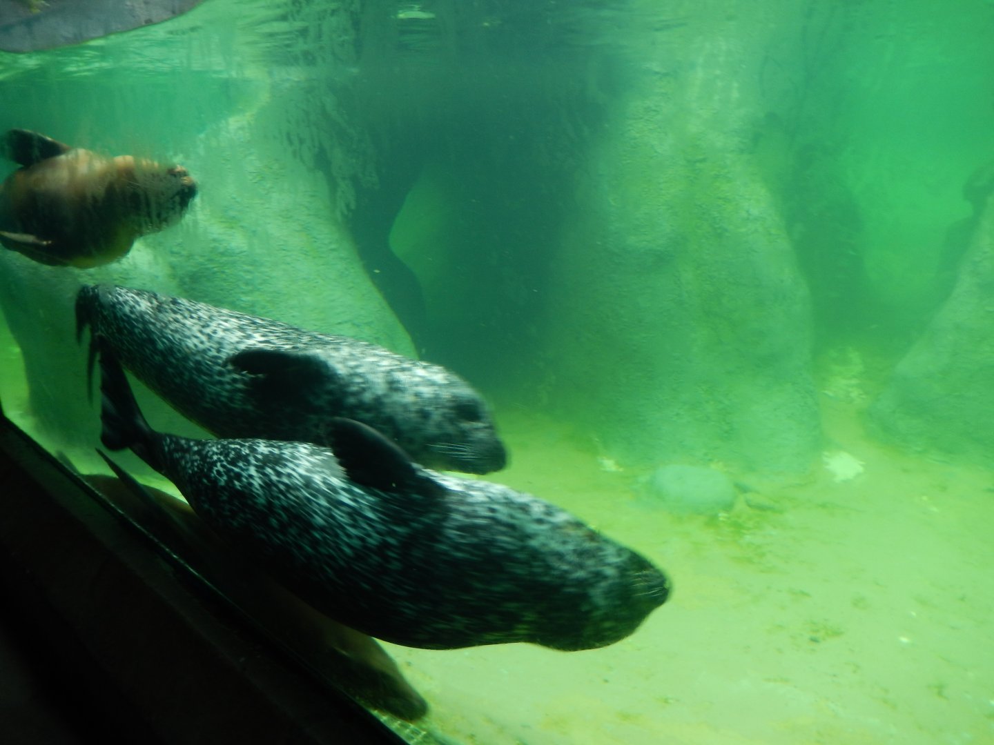 9/23/2018 - Making Laps