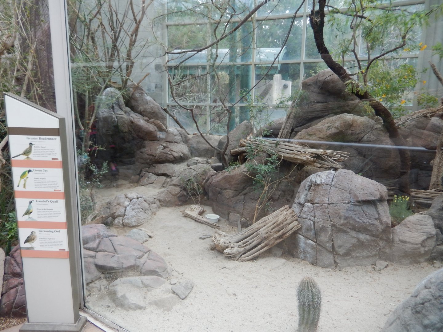 9/23/2018 - Mixed-Species Habitat