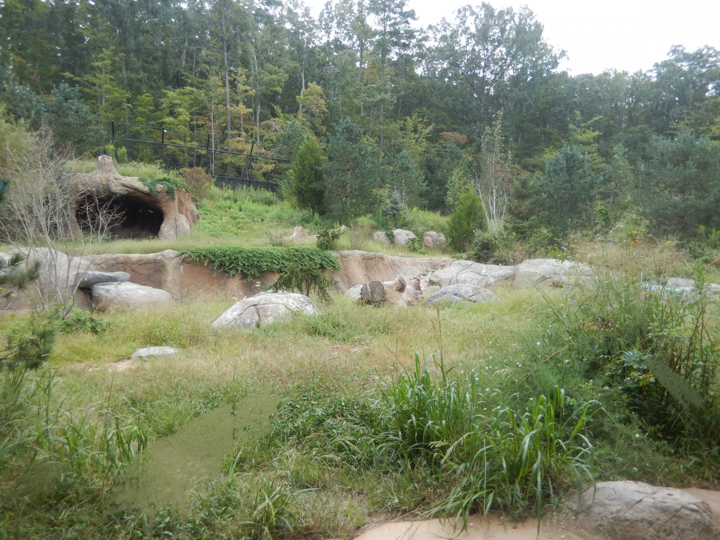 9/23/2018 - Newer Polar Bear Habitat