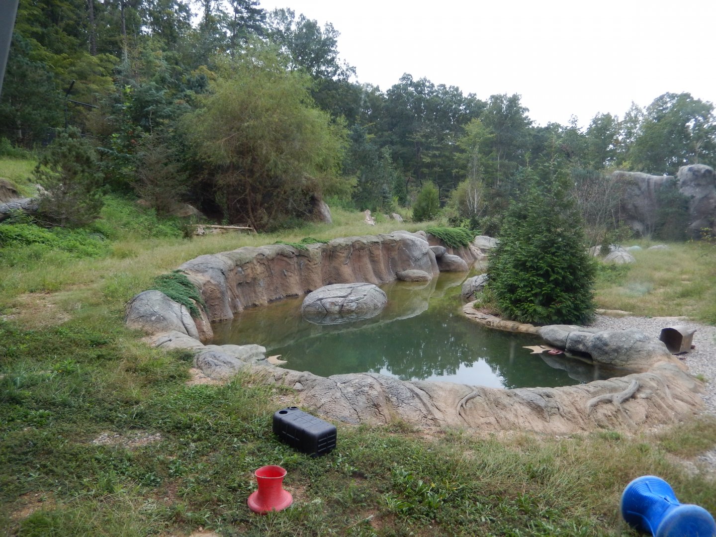 9/23/2018 - Newer Polar Bear Habitat