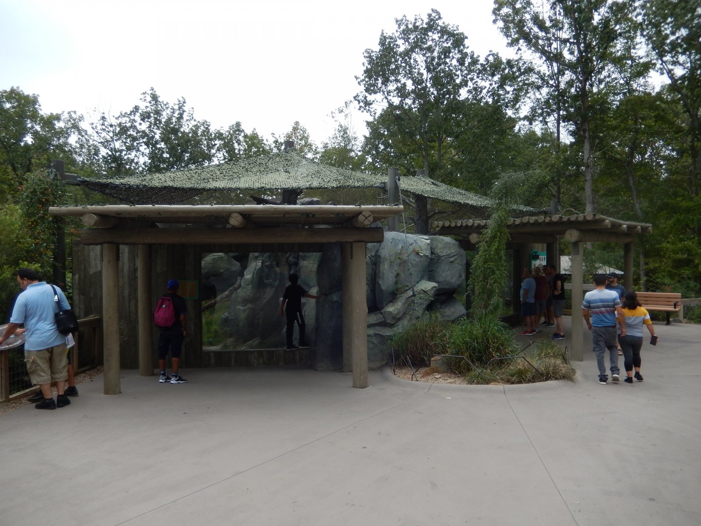 9/23/2018 - Ocelot Complex