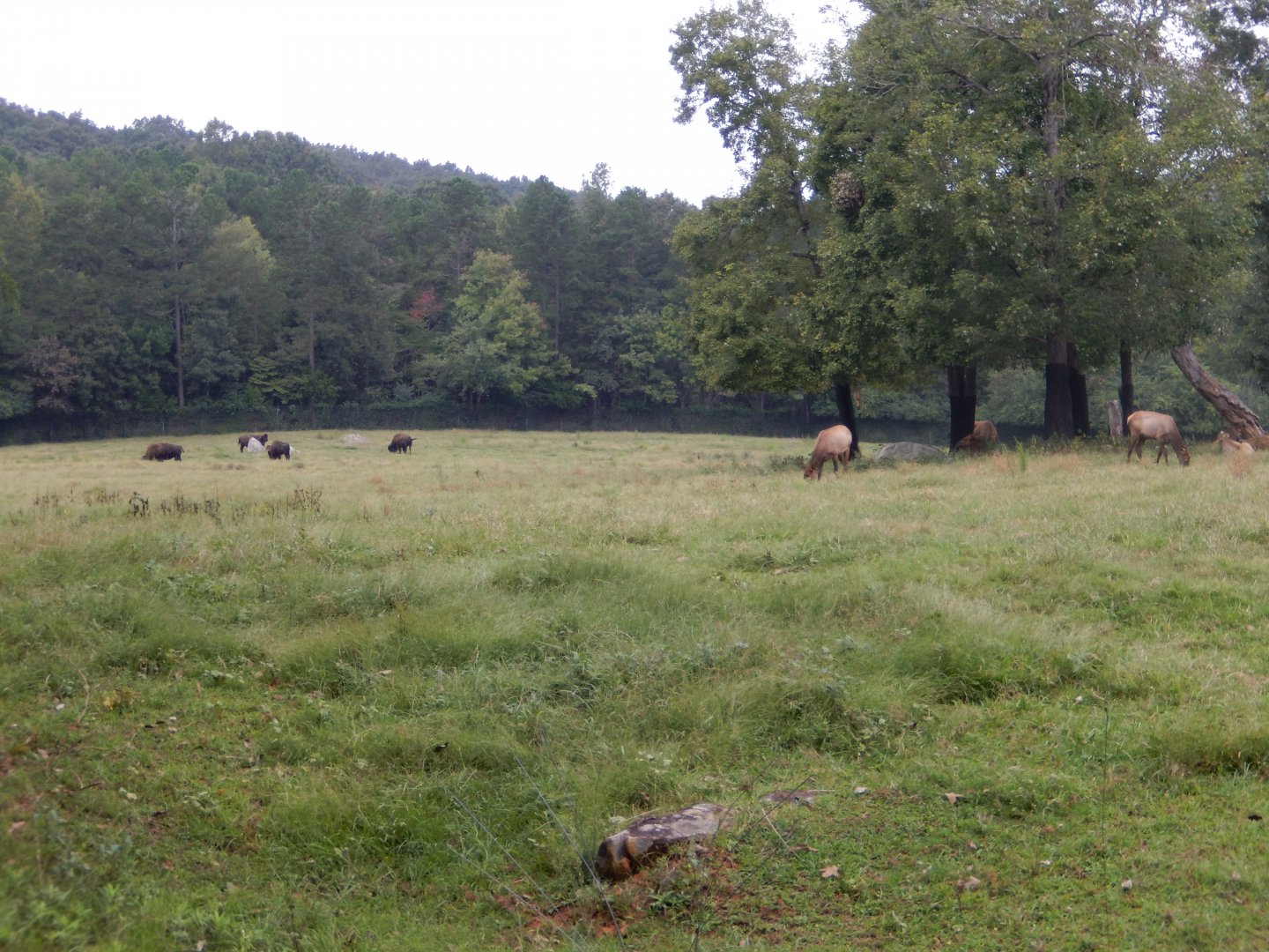 9/23/2018 - Prairie Habitat