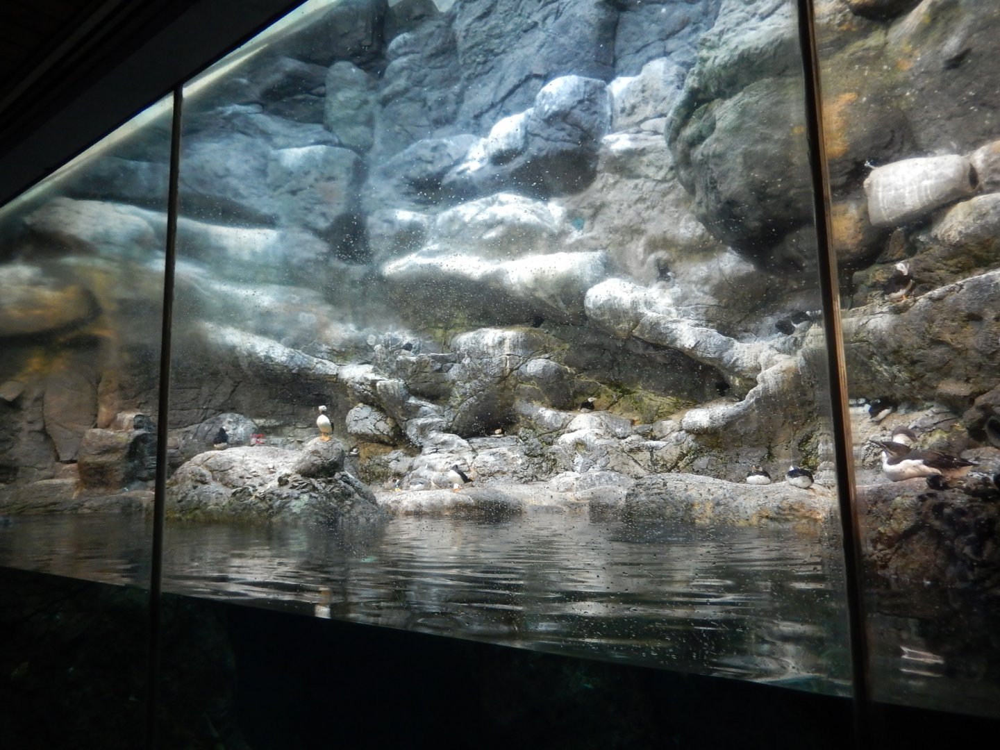 9/23/2018 - Seabird Habitat