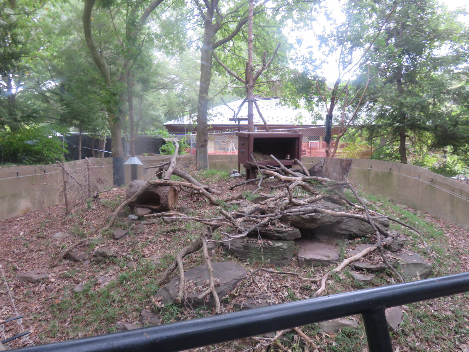 9/27/15 - North American Porcupine Exhibit