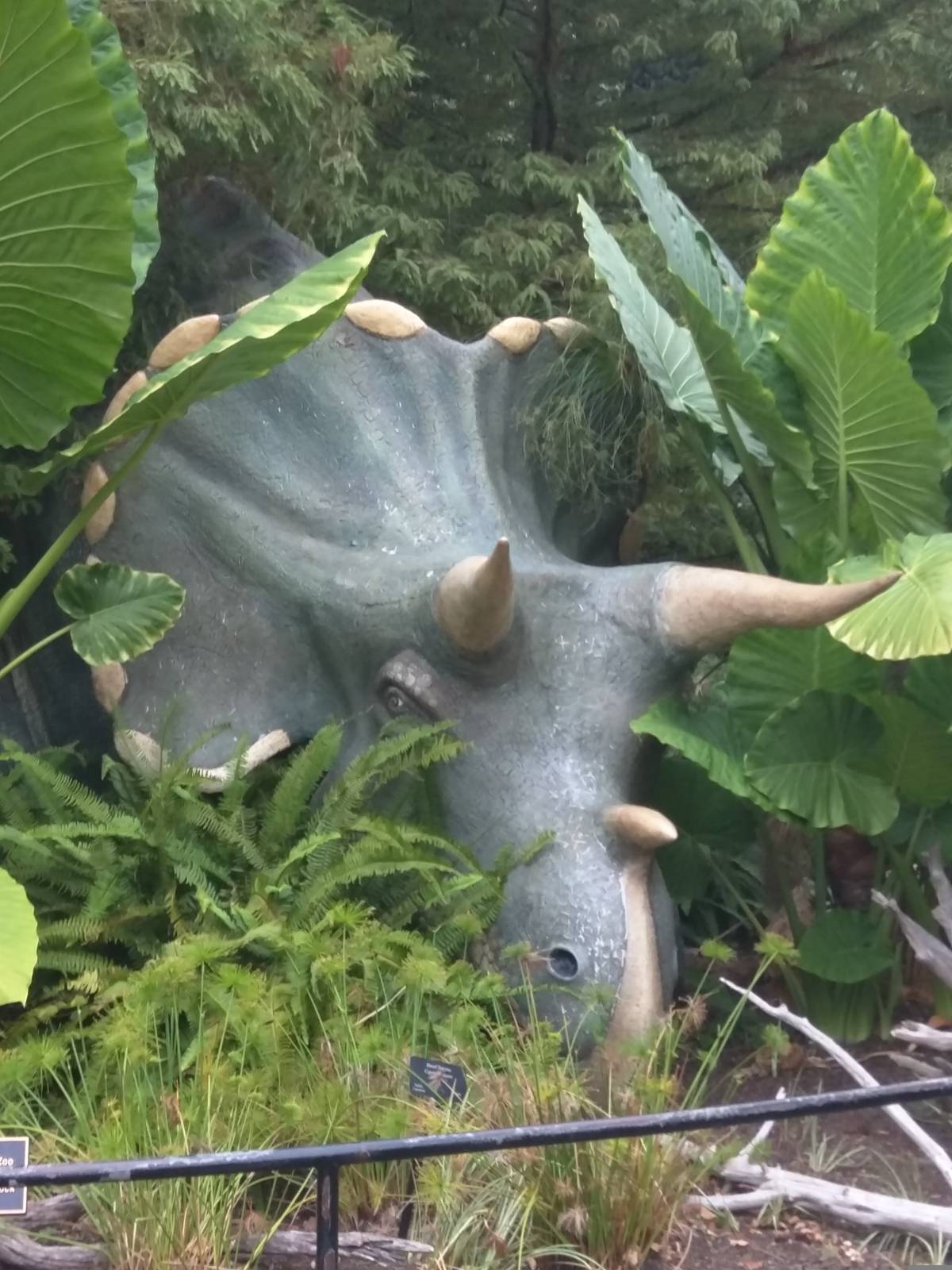 9/27/15 - Uncle Beazley