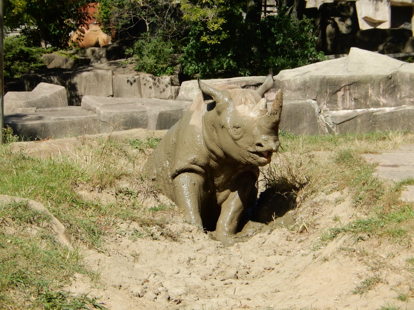 9/27/2021 - Ahh, Mud!