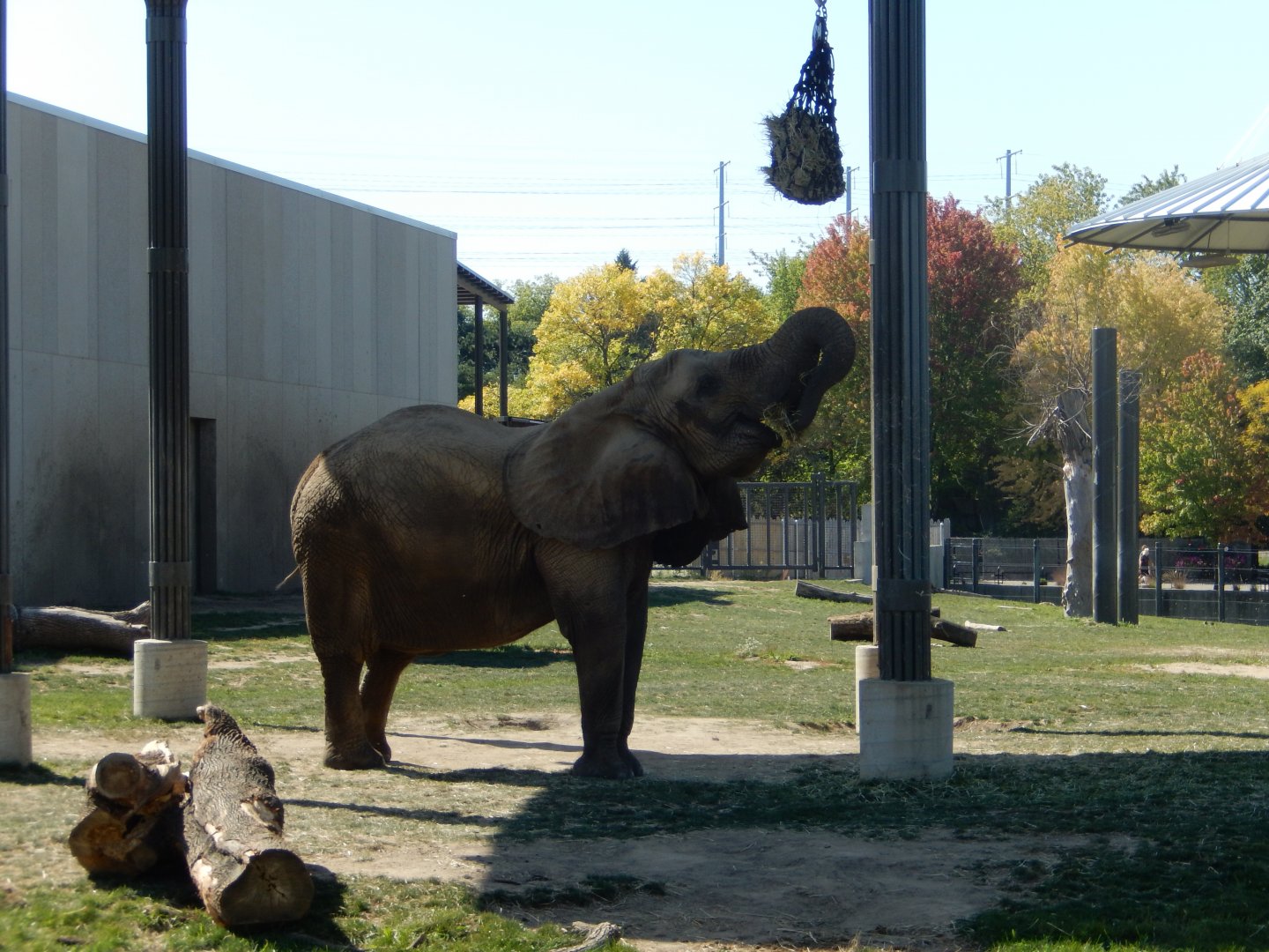 9/27/2021 - Browsing Belle