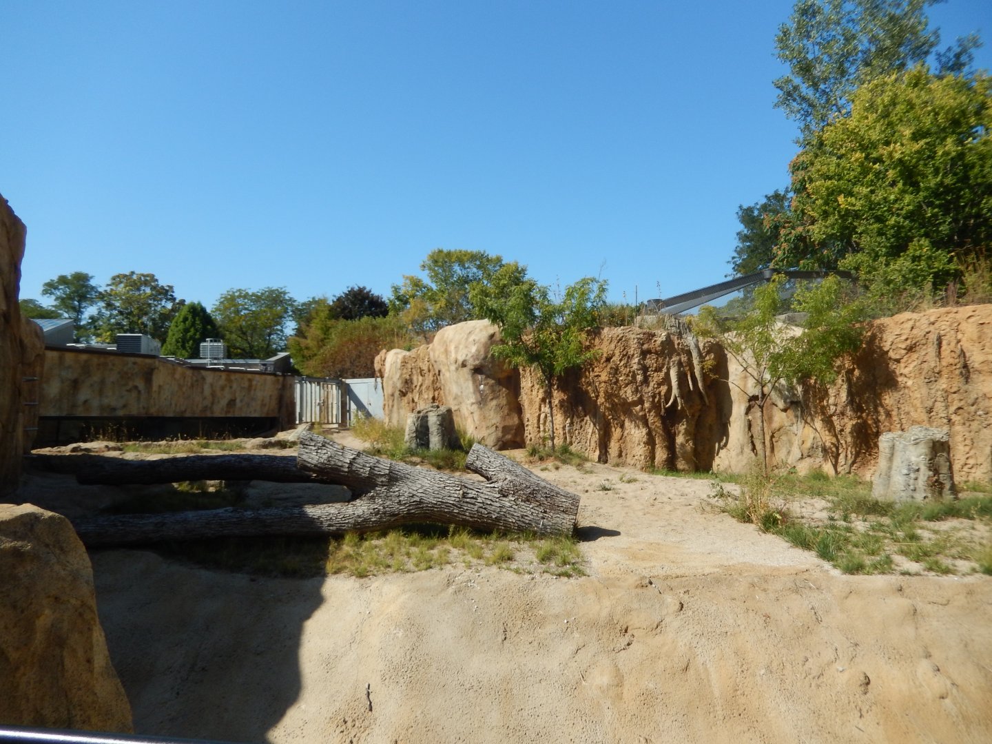 9/27/2021 - Hippo Haven - Above Water View