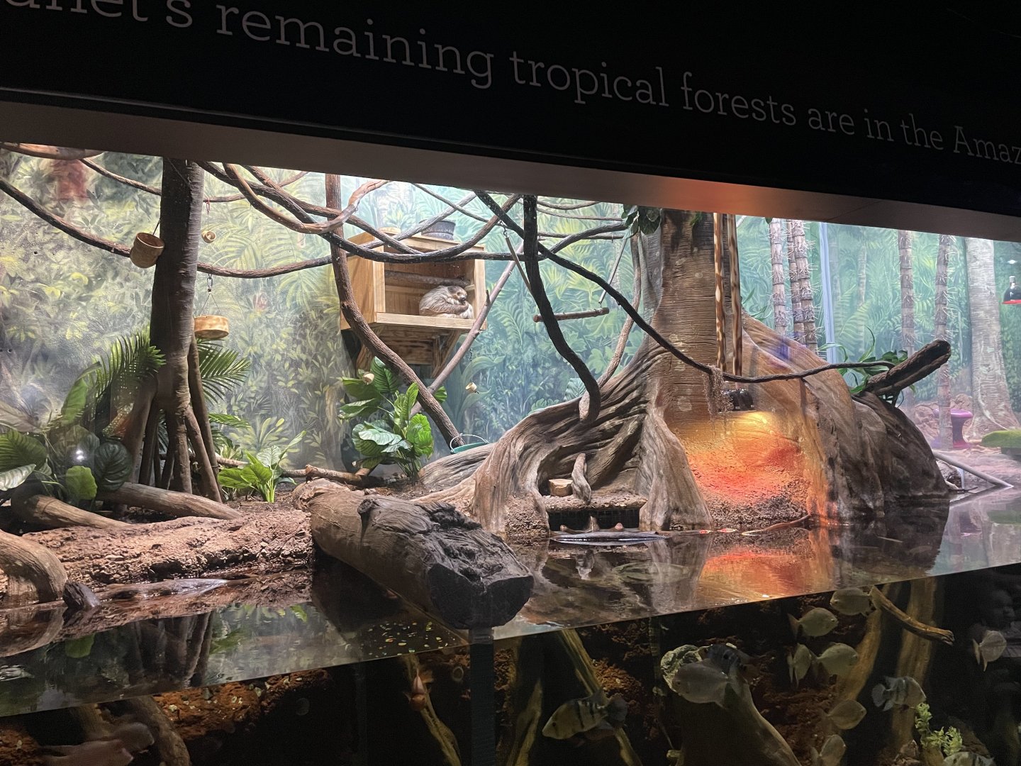 9/28/2024 - Amazon Habitat