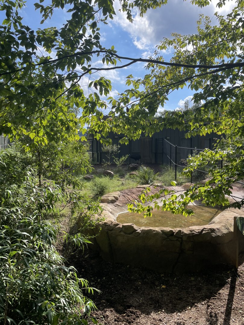 9/28/2024 - Left Cassowary Habitat